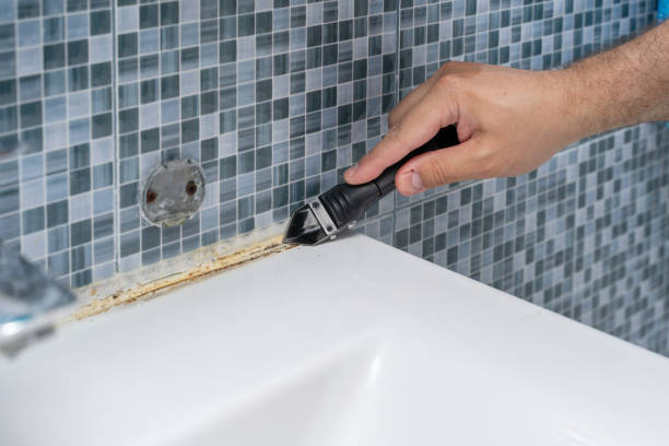 Best Mold Testing  in Elwood, IL