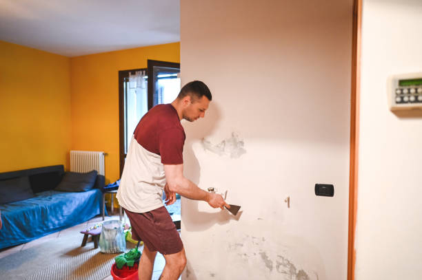 Best Home Mold Removal  in Elwood, IL